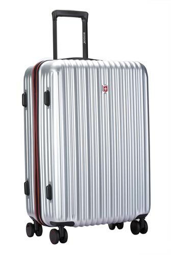 Ruigor Porter 17 Silver (24 Zoll)
