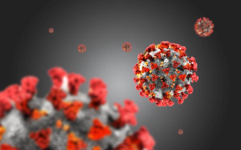 corona virus