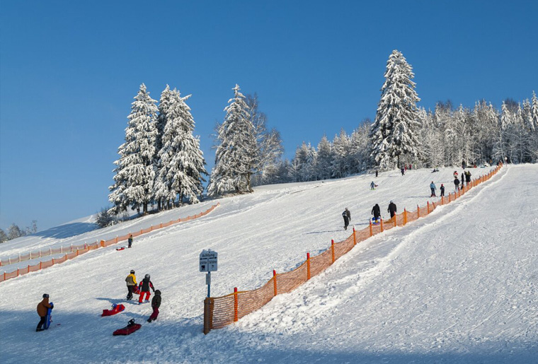 Sledding In Switzerland